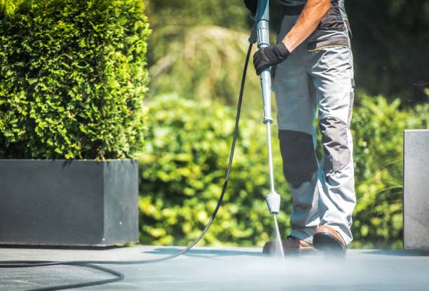 Best Soft Washing  in Elmwood Park, NJ