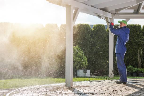 Best Playground Equipment Cleaning  in Elmwood Park, NJ