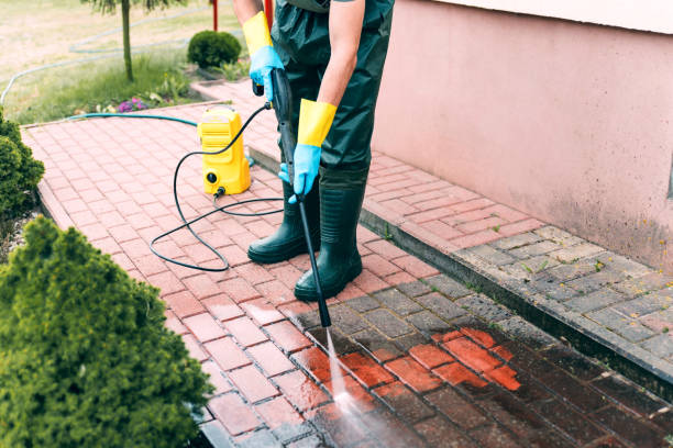 Best Solar Panel Cleaning  in Elmwood Park, NJ